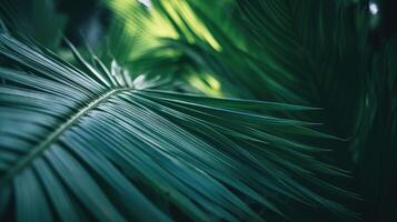 Palmen im Detail, ein Nahansicht von üppig Grün Laub. generativ ai foto