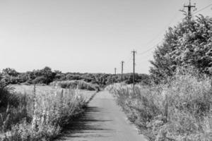 schön leeren Asphalt Straße im Landschaft auf Licht Hintergrund foto