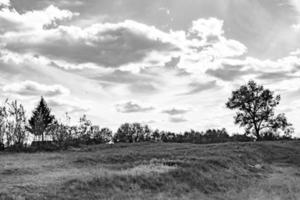 schöne horizontlandschaft in der dorfwiese auf natürlichem farbhintergrund foto