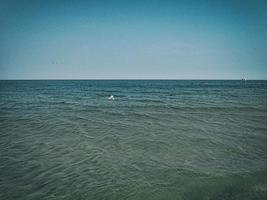 Sommer- Urlaub Landschaft mit Blau Meer Wasser und Himmel und ein fliegend Möwe auf ein warm Tag foto