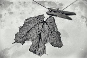 Herbst Ahorn Blatt auf das Original, das Hintergrund mit ein Clip befestigt hängt auf ein Zeichenfolge foto