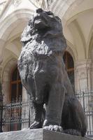 Löwe Statuen, Parlament im Budapest, Ungarn foto
