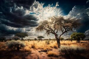 Sonnenaufgang Über das Savanne und Gras Felder im Süd Afrika mit wolkig Himmel. neural Netzwerk ai generiert foto