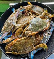 Nahansicht frisch Meer Krabbe mit Schale beim lokal Meeresfrüchte Markt zum Verkauf ,frisch Meer Krabbe sind verfügbar im Supermärkte ist ein Beliebt Meeresfrüchte mit ein köstlich schmecken, Meer Krabbe Hintergrund foto