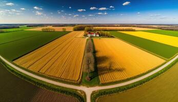 generativ ai, Bauernhof Landschaft, landwirtschaftlich Weizen Felder, schön Landschaft, Land Straße. Natur Illustration, fotorealistisch oben Aussicht Drohne, horizontal Banner. foto