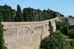 uralt Festung, ein hoch Stein Festung Wand, ein Turm im das Distanz, ein Sommer- Landschaft foto