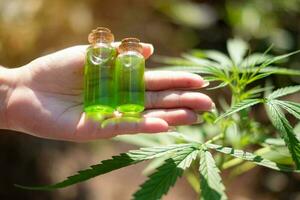 Hand hält eine Glasflasche mit CBD-Öl und Cannabisblatt im Hintergrund foto