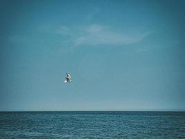 Sommer- Urlaub Landschaft mit Blau Meer Wasser und Himmel und ein fliegend Möwe auf ein warm Tag foto