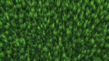 ai generativ. ai generiert. Konzept von Foto von Grün Gras. Hintergrund Muster Landwirtschaft. können Sein benutzt zum Grafik Design. Grafik Kunst