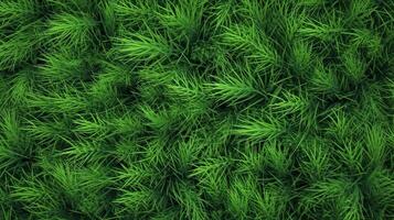 ai generativ. ai generiert. Konzept von Foto von Grün Gras. Hintergrund Muster Landwirtschaft. können Sein benutzt zum Grafik Design. Grafik Kunst