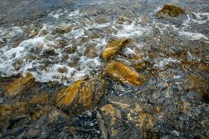 schließen oben Wasser mit Algen auf das Strand Konzept Foto. Kieselsteine unter Wasser. das Aussicht von das Spitze, nautisch Hintergrund. hoch Qualität Bild zum Hintergrund foto