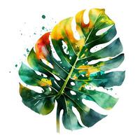 Monstera Palme Blätter tropisch Plakate Aquarell Farbe spritzt foto