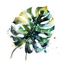 Monstera Palme Blätter tropisch Plakate Aquarell Farbe spritzt foto