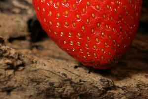 Frische Erdbeeren hautnah mit Scheiben foto