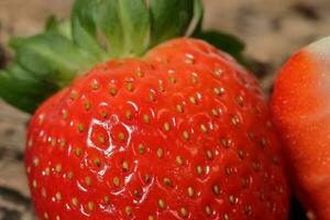 Frische Erdbeeren hautnah mit Scheiben foto