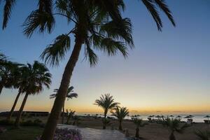 Resort mit Palmen mit Strand vor Sonnenaufgang im Ägypten foto