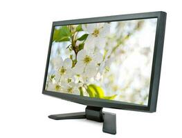 Monitor und Kirsche Blumen. foto