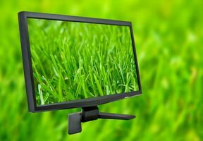 Monitor mit Gras foto