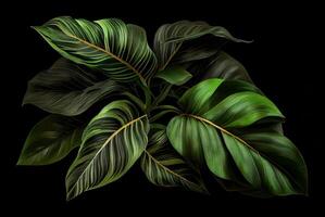 tropisch Blätter Laub Pflanze Busch Blumen- Arrangeure auf schwarz Hintergrund, erstellt mit generativ ai foto