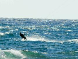 ein Mann tun Windsurfen foto