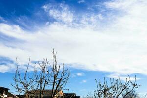 Wolke im Himmel Über Zweige von Obst Bäume mit Knospen foto