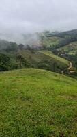 Aussicht von das Berge von minas Gerais Brasilien foto