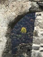 Gelb Herbst Baum im das Öffnung von das alt Stein Mauer. alt Stein Mauer mit gewölbt Passage. foto