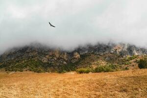 Berge im ein dicht Nebel und sonnig Neigung. mystisch Landschaft Witz foto