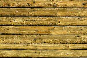 Holz Textur Hintergrund foto