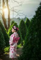 schön jung Frau tragen japanisch traditionell Yukata foto