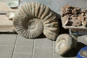 Fossilien, Sand Rosen und Edelsteine zum Verkauf beim ein marokkanisch Souk foto