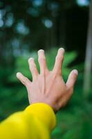Forscher männlich Hand im ein Grün regnerisch Wald. foto