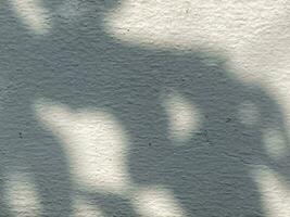 Blätter Schatten Hintergrund auf Beton Mauer Textur, Blätter Baum Geäst Schatten foto