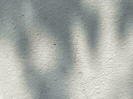 Blätter Schatten Hintergrund auf Beton Mauer Textur, Blätter Baum Geäst Schatten mit Sonnenlicht foto