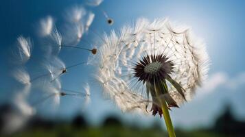 Löwenzahn Blume Blütchen Blau Himmel und Hintergrund Tapeten, generativ ai foto