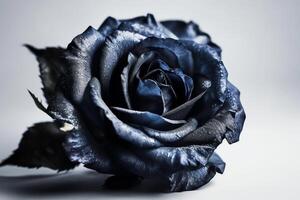 schön hoch Kontrast Indigo Blau und schwarz Rose auf ein hell Hintergrund. ai generiert foto