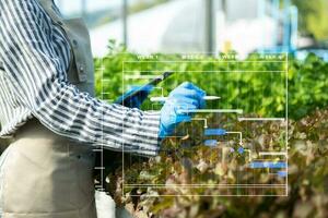 Bäuerin mit digitalem Tablet-Computer im Feld, Technologieanwendung im landwirtschaftlichen Anbau, foto