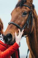 rothaariges Jockey-Mädchen in einer roten Strickjacke und schwarzen hohen Stiefeln mit einem Pferd