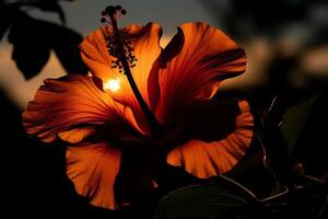 Silhouette von ein Hibiskus Blume. ai generiert foto