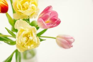 hell Frühling Strauß von Tulpen im ein Vase Nahansicht auf ein Weiß Hintergrund. oben Aussicht foto