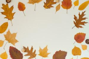 Rahmen von Herbst gefallen Blätter auf ein Beige Hintergrund mit Kopieren Raum foto