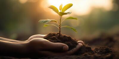 Hand halten Baum Pflanze Hintergrund. Welt Umgebung Tag und Erde Tag. generativ ai foto