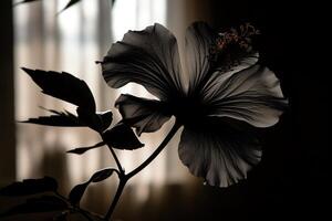 Silhouette von ein Hibiskus Blume. ai generiert foto