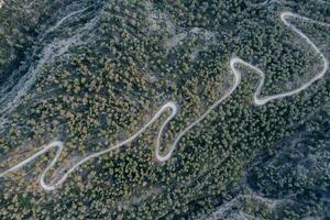 Antenne Schuss von ein kurvig Straße auf ein Berg im ein Wald foto