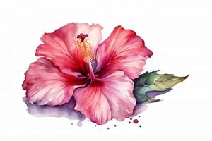 Aquarell Rosa Hibiskus Blume isoliert auf Weiß Hintergrund. ai generiert foto