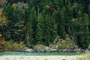 Herbst Wald Bäume Berge Fluss Landschaft Natur foto