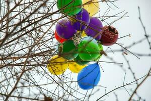 mehrfarbig Luftballons stecken im Baum Geäst foto