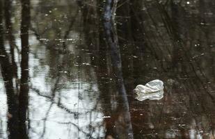 Plastik Flasche im schlammig Wasser im das Wald, geworfen Weg durch Mann. Umwelt Katastrophe im Natur. das Problem von Plastik im Natur. horizontal. Foto im hoch Qualität.