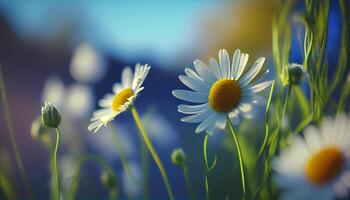 schön Frühling Blumen Hintergrund Natur mit schön Himmel mit ai generativ Bild foto