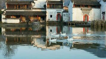 die schöne traditionelle chinesische dorfansicht mit der klassischen architektur und den frischen grünen bäumen als hintergrund foto